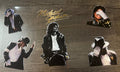 Jackson UVDTF