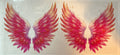 Pink Angel Wings UVDTF