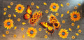 Sunflowers and Butterflies UVDTF