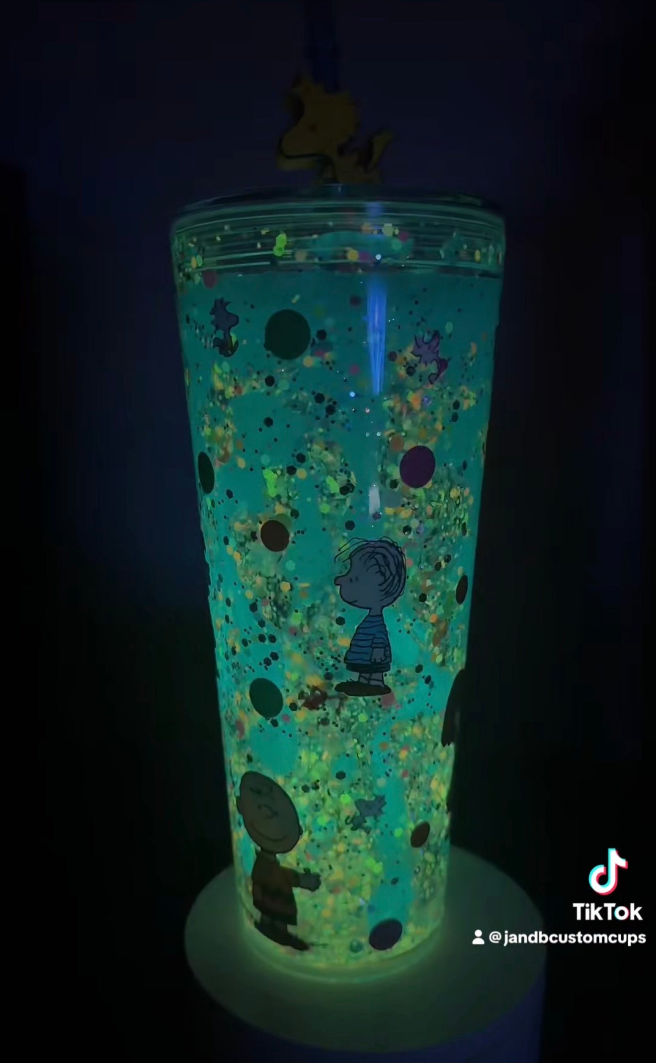 24oz Custom Charlie Brown Woodstock Snowglobe Tumbler