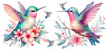 Hummingbirds UVDTF