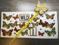 Wild & Free Set