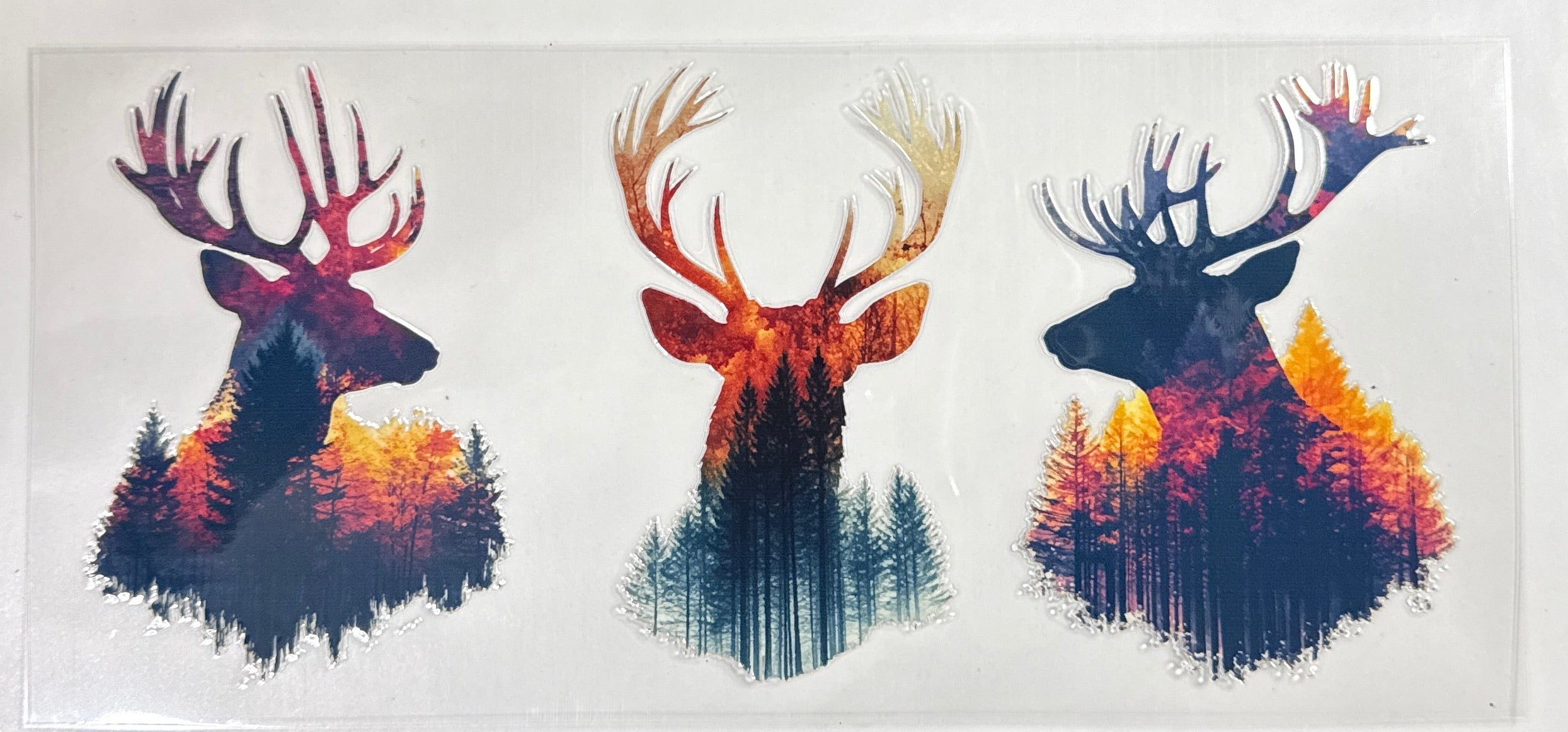 Deer
