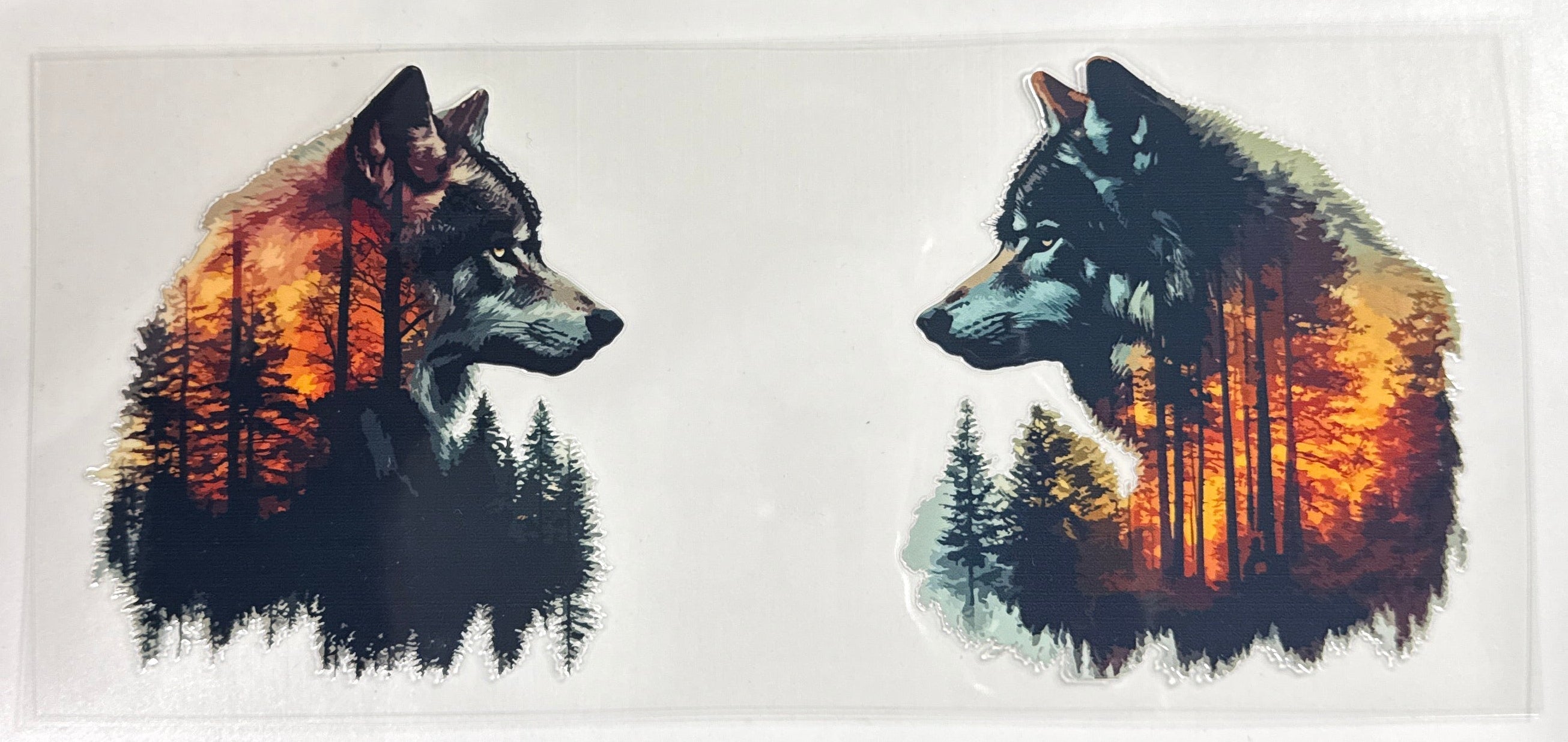 Bear with Forest