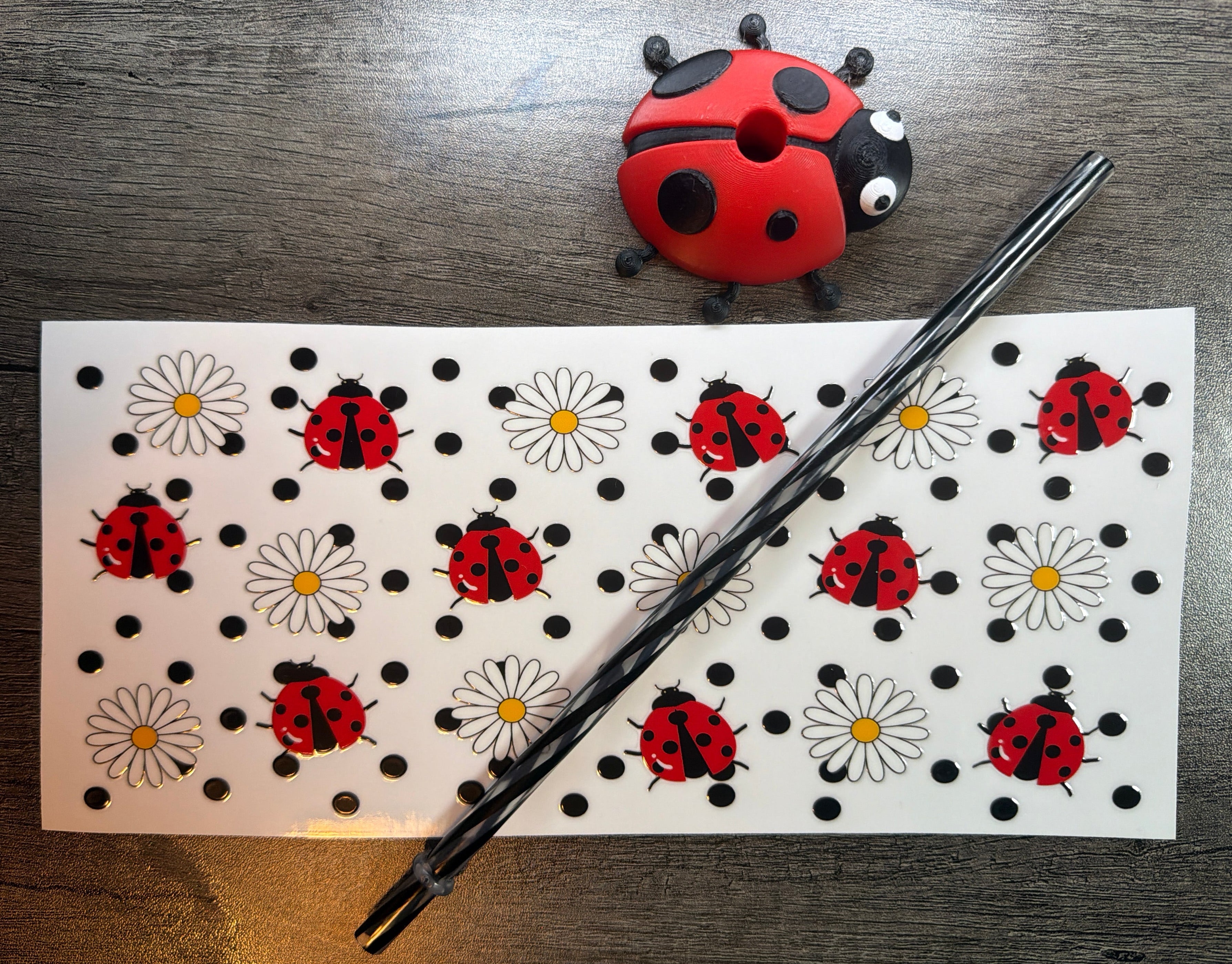 Lady Bug Set