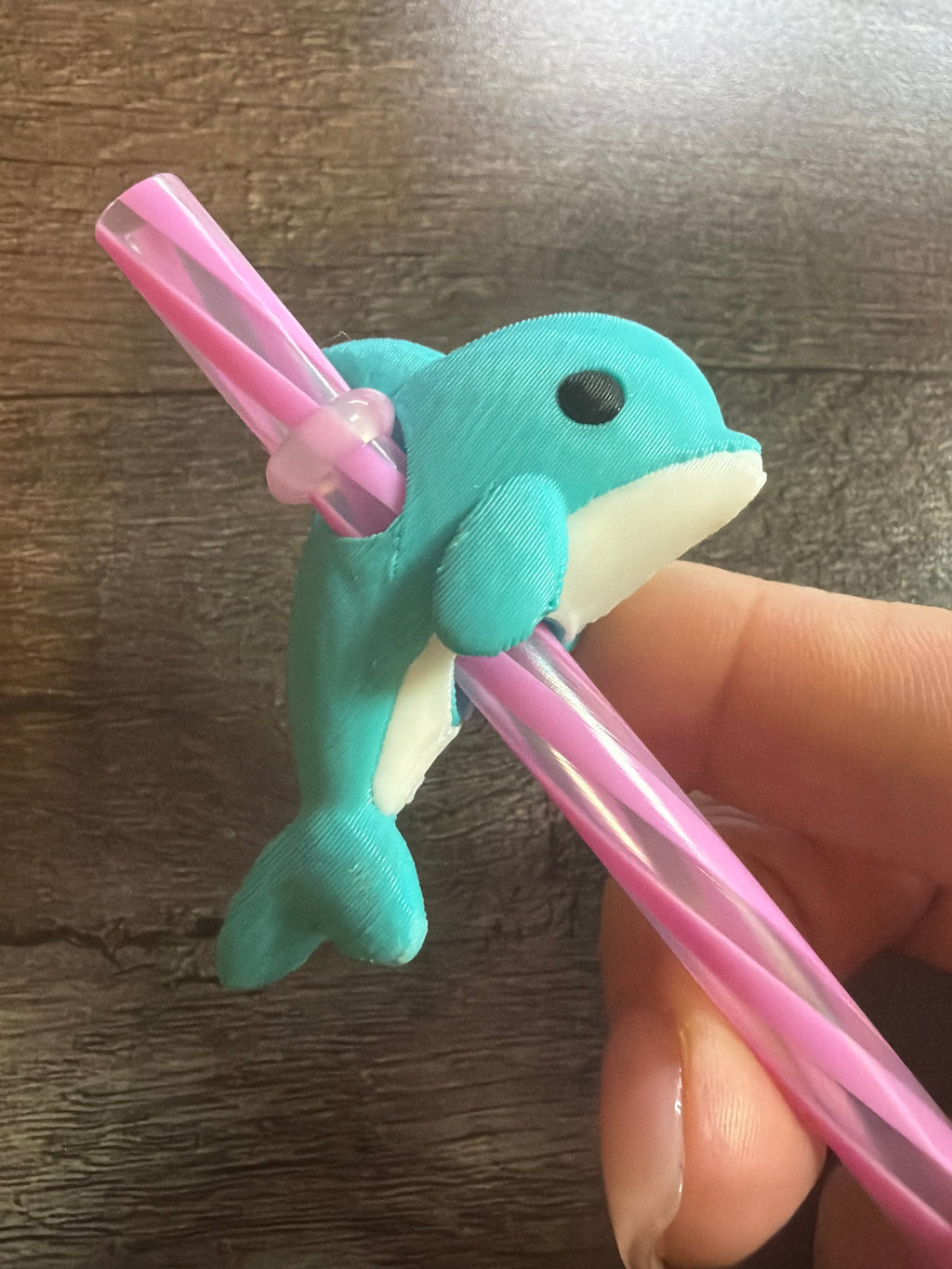 Dolphin Set