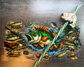 Fishing Set