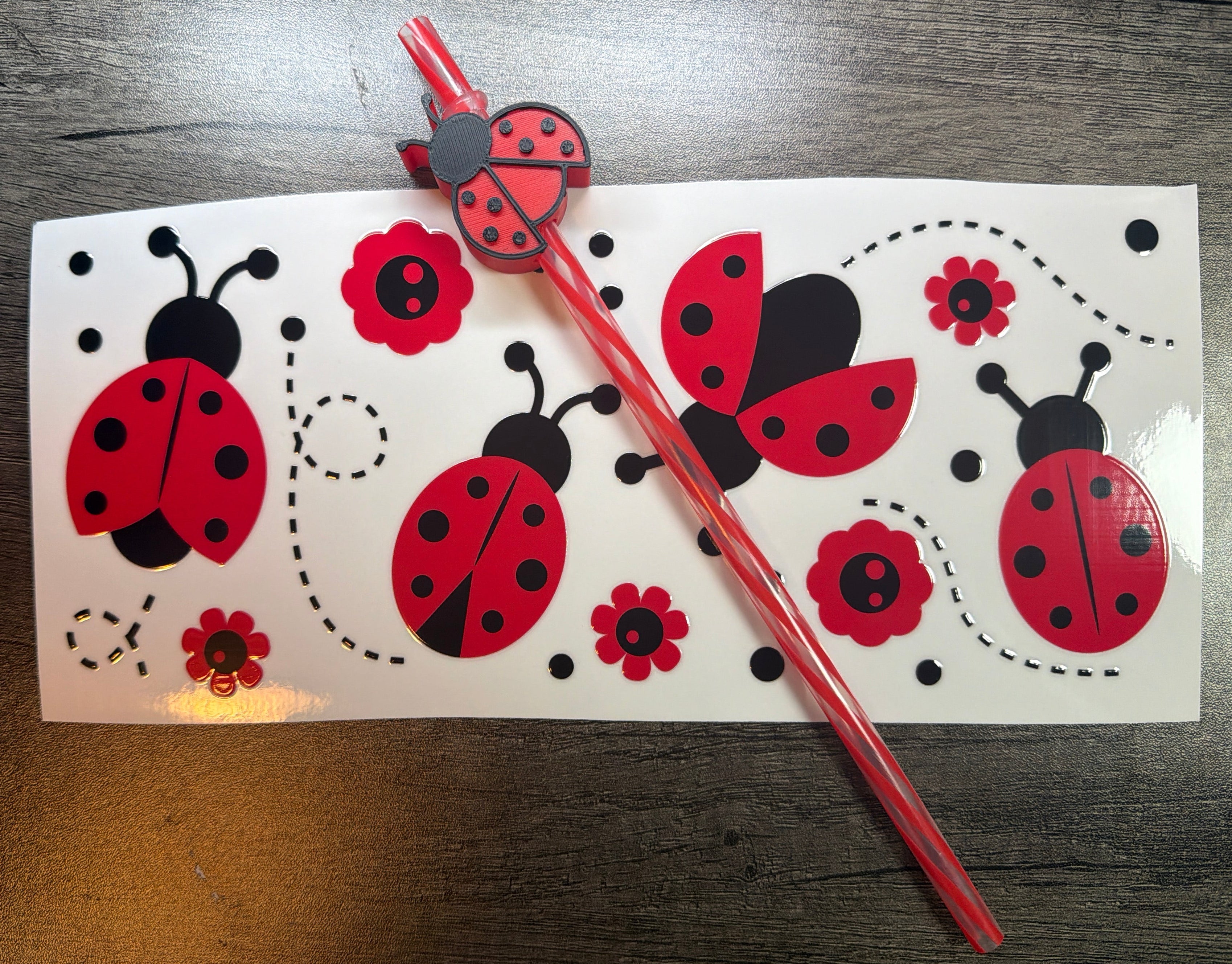 Lady Bug Set