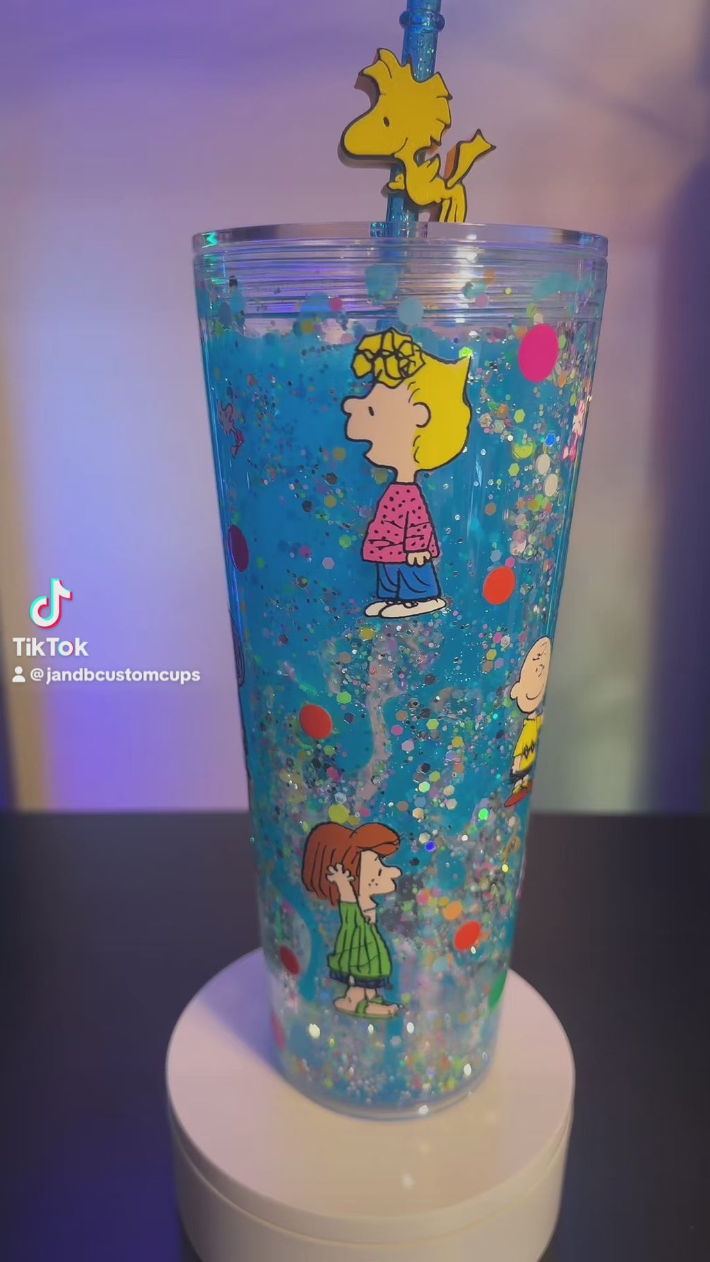 24oz Custom Charlie Brown Woodstock Snowglobe Tumbler